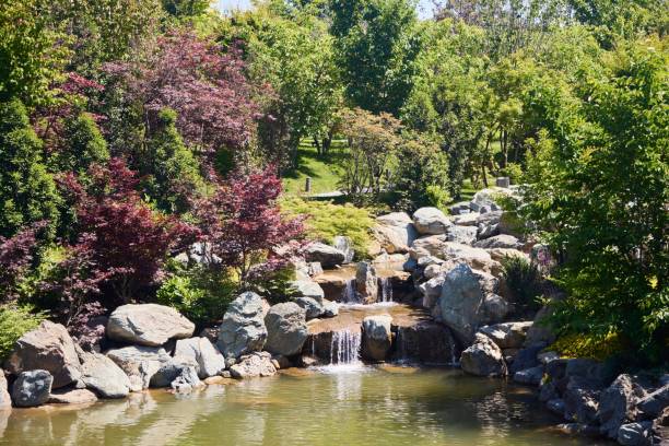 istock A corner of the Japanese garden. Artificial waterfall 2173901783