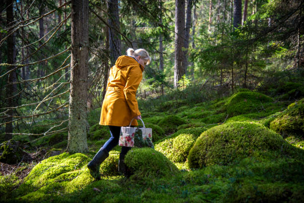 istock Woman walking in forest 2173903730