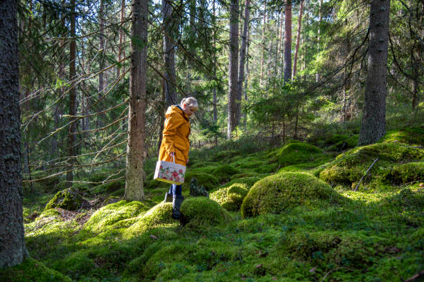 istock Woman walking in forest with basket 2173903796