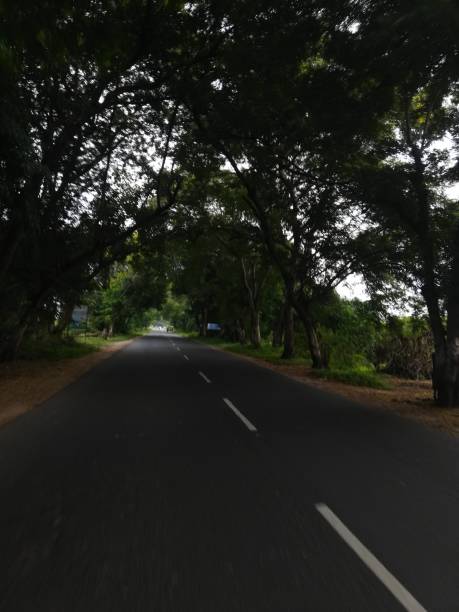 istock The village road view with the trees shadow 2173906491