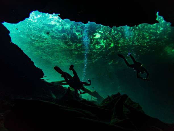 istock Diver enters an underwater cavern at Catfish Hotel, Manatee Springs State Park, Florida 2173908514