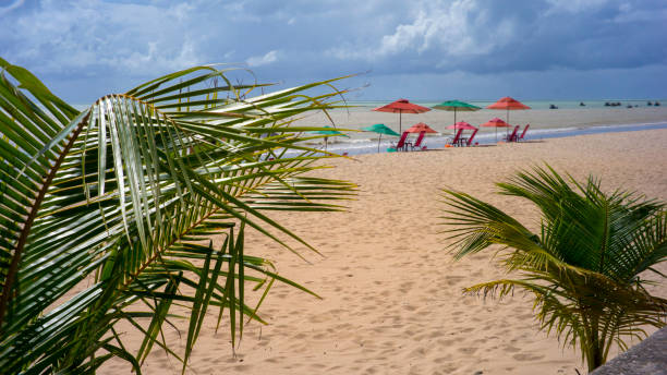 beach scene, waterfront with chairs and umbrella