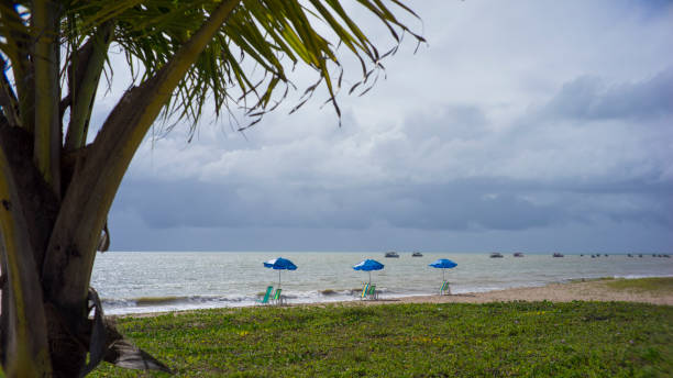 beach scene, waterfront with chairs and umbrella