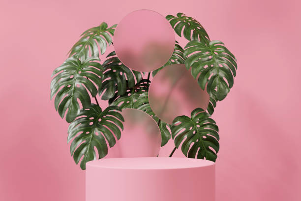 istock 3D rendering pink platform podium with monstera plant product presentation background 2173923048