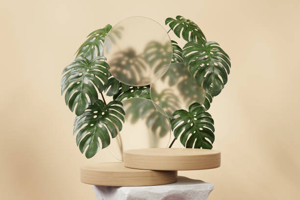 istock 3D rendering abstract platform wood podium with monstera plant product presentation background 2173923051