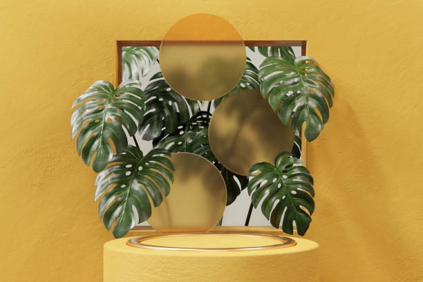 istock 3D rendering yellow platform podium with monstera plant product presentation background 2173923069