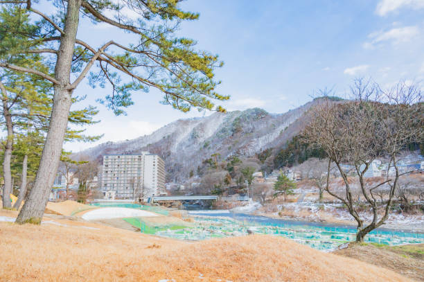 istock Tone River seen at Seiryu Park 2173924428