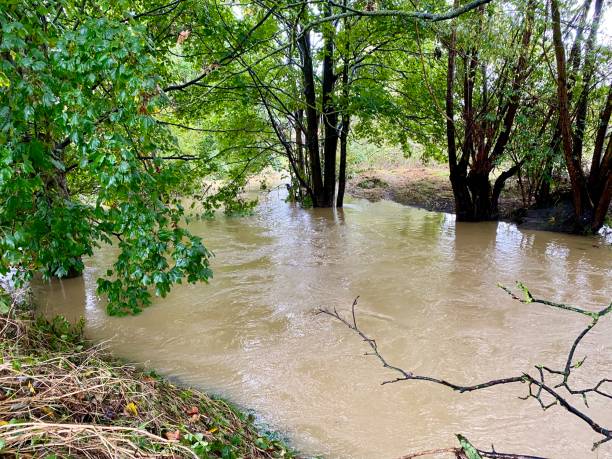 istock Flood water in a park 2173929419