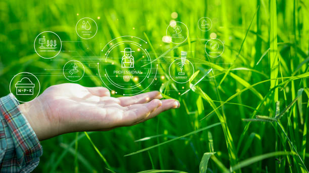istock Farmers use agricultural technology in data analysis tablets and image icons. New technologies in agricultural business concepts. Men use tablets to research and develop plant varieties, agricultural 2173931190