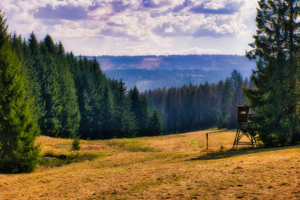 Autumn mood in the Thuringian Forest