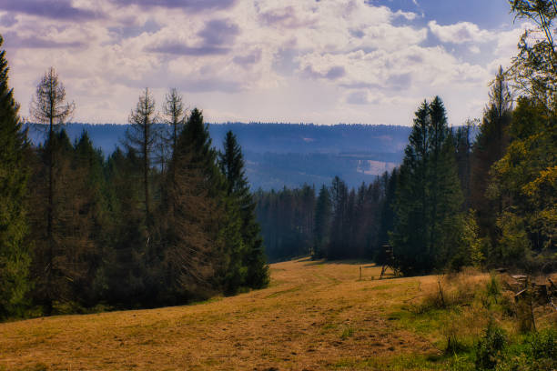 Autumn mood in the Thuringian Forest