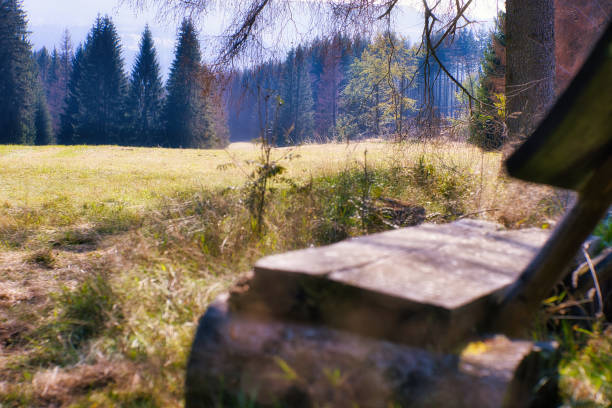 Autumn mood in the Thuringian Forest
