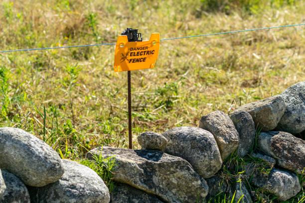 istock electric shepherd, electrified line to keep animals in a closed herd 2173934983