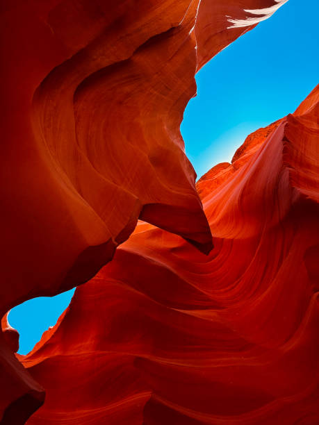 istock Eagle At Antelope Canyon On Sunny Day 2173945072