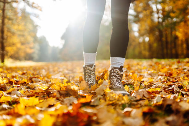 istock Exploring autumn trails in sturdy boots surrounded by colorful fallen leaves in a vibrant forest setting. 2173945172
