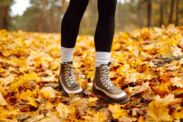 istock Exploring autumn trails in sturdy boots surrounded by colorful fallen leaves in a vibrant forest setting. 2173945225