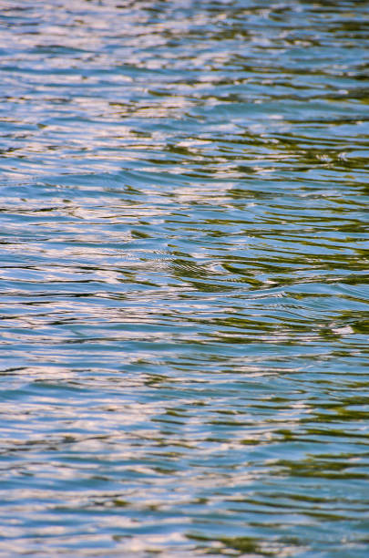 The water is calm and still, with ripples forming on the surface. The reflection of the sky and clouds can be seen in the water, creating a serene and peaceful atmosphere