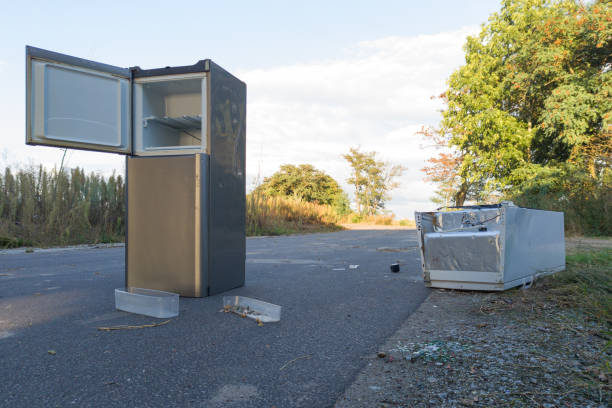 istock Discarded refrigerator and broken appliance on the roadside 2173949981