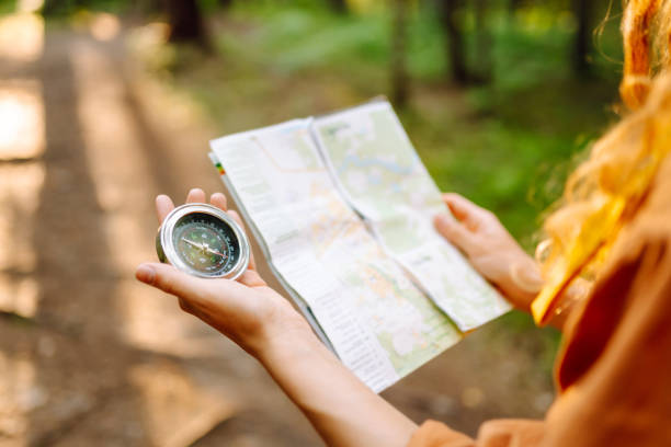 istock Exploring the forest with a map and compass during a sunny afternoon in a tranquil wooded area. 2173953203