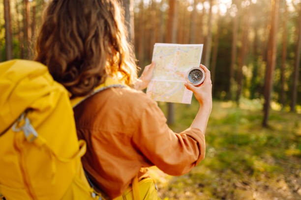 Exploring the forest with a map and compass during a sunny afternoon in a tranquil wooded area. Travel. Hiking.