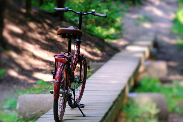 A bike rests on a wooden bridge, surrounded by vibrant green nature, perfect for outdoor adventures.