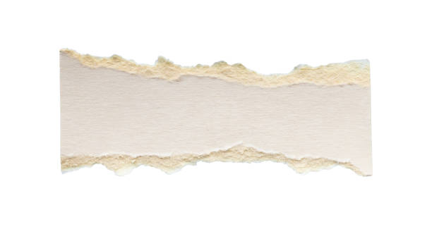 istock White ripped paper torn edges strips isolated on white background 2173956803