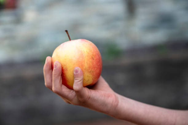 istock Hand of aa child holding an apple 2173959521