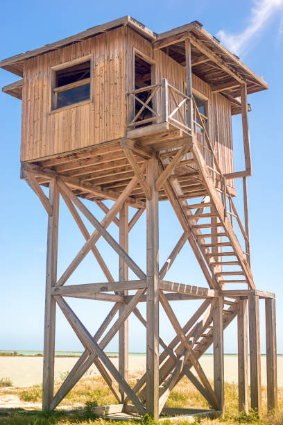 istock Wooden bird watching tower 2173959690