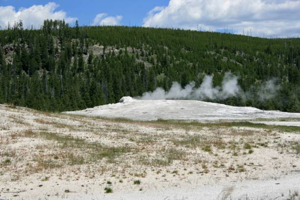 istock Waiting for Old Faithful to erupt 2173961428