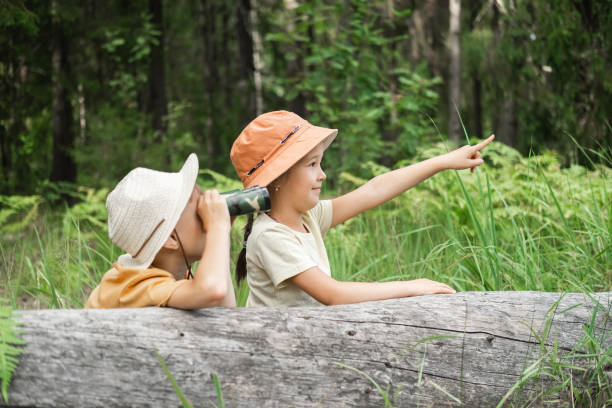 istock Small children are exploring the forest, looking through binoculars from the shelter. 2173968789