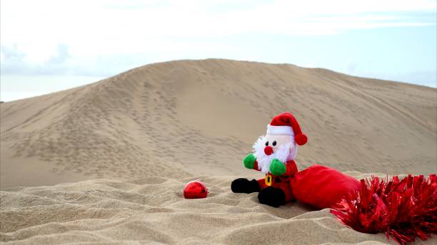 istock Christmas vacation on the beach 2173971472