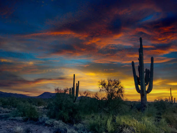 Spectacular Arizona Sunset, McDowell Sonoran Conservancy Gateway Trailhead in Scottsdale, Arizona Spectacular Arizona Sunset, McDowell Sonoran Conservancy Gateway Trailhead in Scottsdale, Arizona phoenix stone stock pictures, royalty-free photos & images