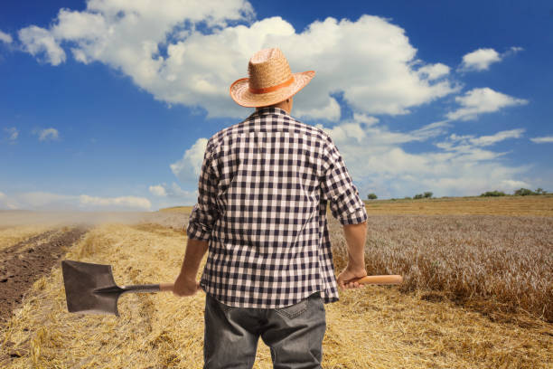 Against the backdrop of a vast sky, a dignified senior farmer, with arms confidently crossed, dons a hat while standing amidst the golden wheat field, embodying the timeless spirit