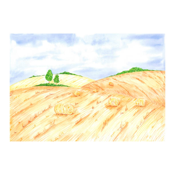 istock Hand drawn watercolor landscape with dry fields and blue sky isolated on white background. Can be used for postcard, label, scrapbook and other printed products. 2173974476