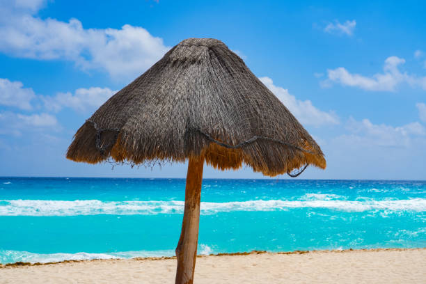 landscape of thatch sun block on the beach