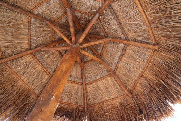 low angle view of tiki hut thatch roof