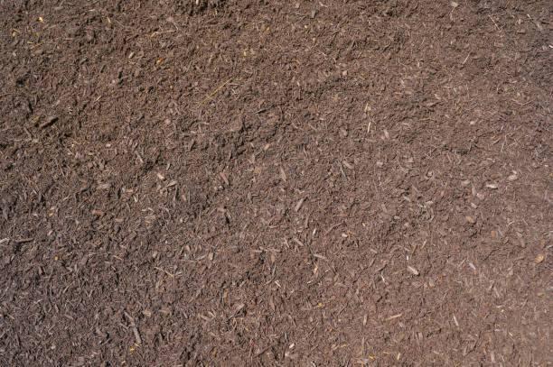 istock high angle view of mulch background in garden 2173975411