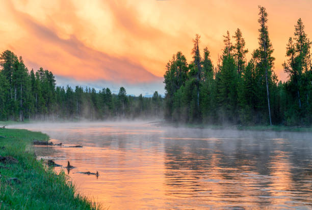 istock landscape of river in forest after storm under sunlight 2173975979