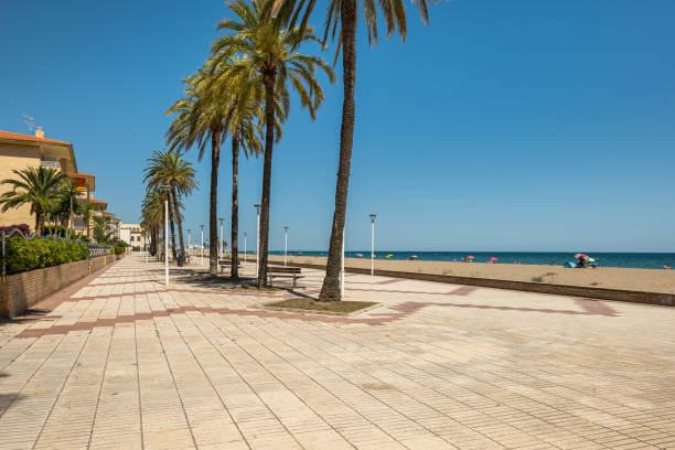 istock A beautiful sunny beachfront adorned with lovely palm trees creating a perfect tropical escape 2173977507