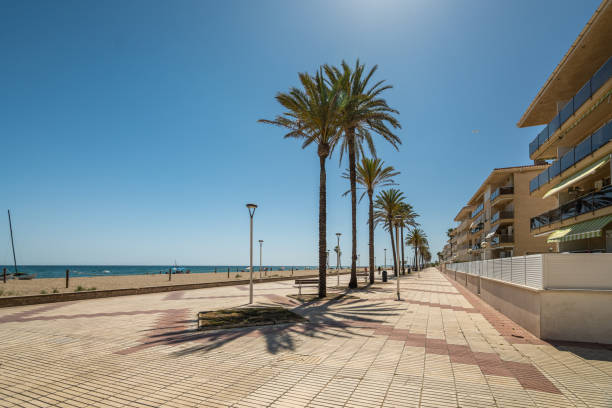 istock A beautiful and sunny beachside promenade, lined with tall palm trees swaying gently 2173977748