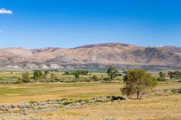 Mono County California Landscape on a Sunny Summer Day