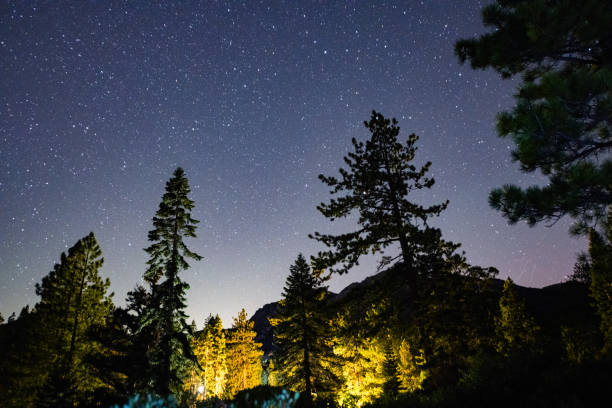 istock Night Sky Over Trees in Emerald Bay State Park California 2173986626