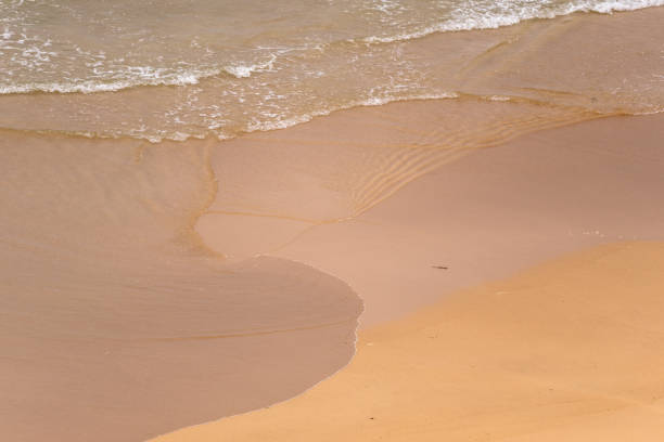 Vigie Beach, Saint Lucia: shows a close-up view of a gentle wave lapping at a sandy beach shore. The water is creating a thin, frothy white line as it meets the sand, with the wave's edge forming a delicate, scalloped pattern. The wet sand appears a rich golden-brown color, glistening with moisture. Further out, you can see multiple layers of small waves approaching the shore, their surfaces sparkling in the light. The scene captures a moment of serene beauty, showcasing the constant, rhythmic motion of the sea meeting the land. The composition emphasizes the textures and colors of the water and sand, creating a soothing and tranquil atmosphere typical of a calm day at the beach
