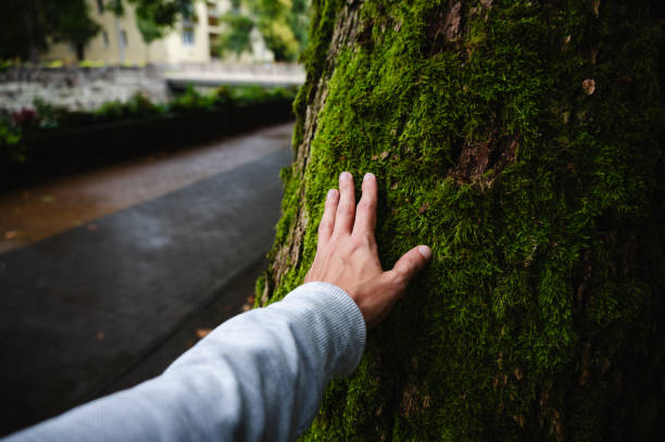 Hand touching moss-covered tree in urban park