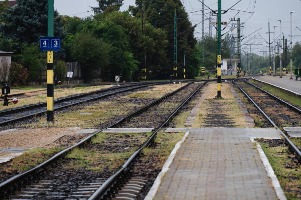 istock Multiple railway tracks in a green landscape 2173988513