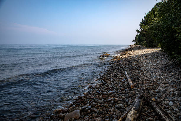 istock A blurred image of a calm water body with trees behind it 2173988787