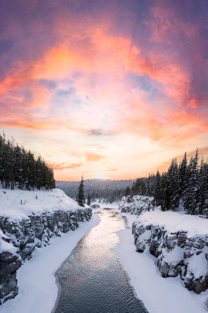 Incredible winter time views outside of Whitehorse, Yukon Territory during cold season with snow covered landscape in the wild boreal forest of Canada. Beautiful Miles Canyon along the Yukon River outside of Whitehorse in northern Canada, Yukon Territory. Winter time with bright day, snowy landscape and boreal forest with a bright pink sunrise. snowy river stock pictures, royalty-free photos & images