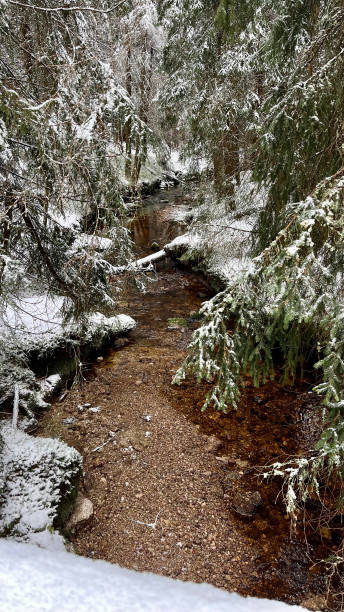 istock Spring melt water flows down the mountain slope in the spring snow-capped Jizera Mountains in Poland 2173989184