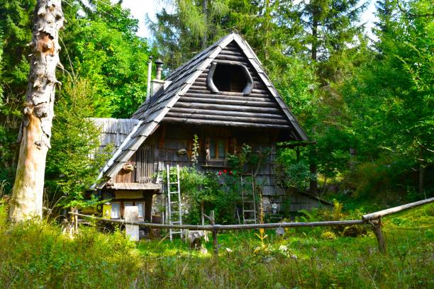 Wooden cottage in a forest at Vogar