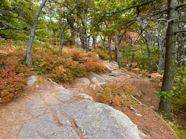 Acadia Mountain Trail, Acadia NP